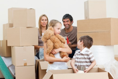 Support team assessing a moving service issue